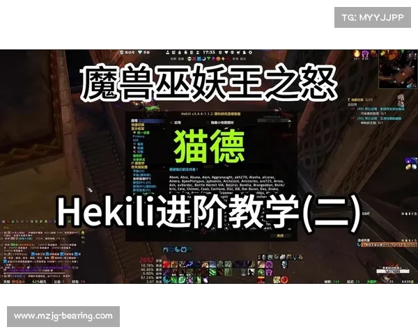 魔兽世界怀旧服：宠物伤害防御攻略